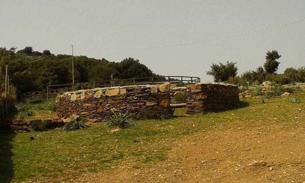 Agriturismo S'Armidda Seùlo Exterior foto